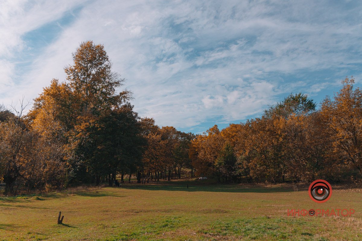 Осінній ліс Осінній ліс