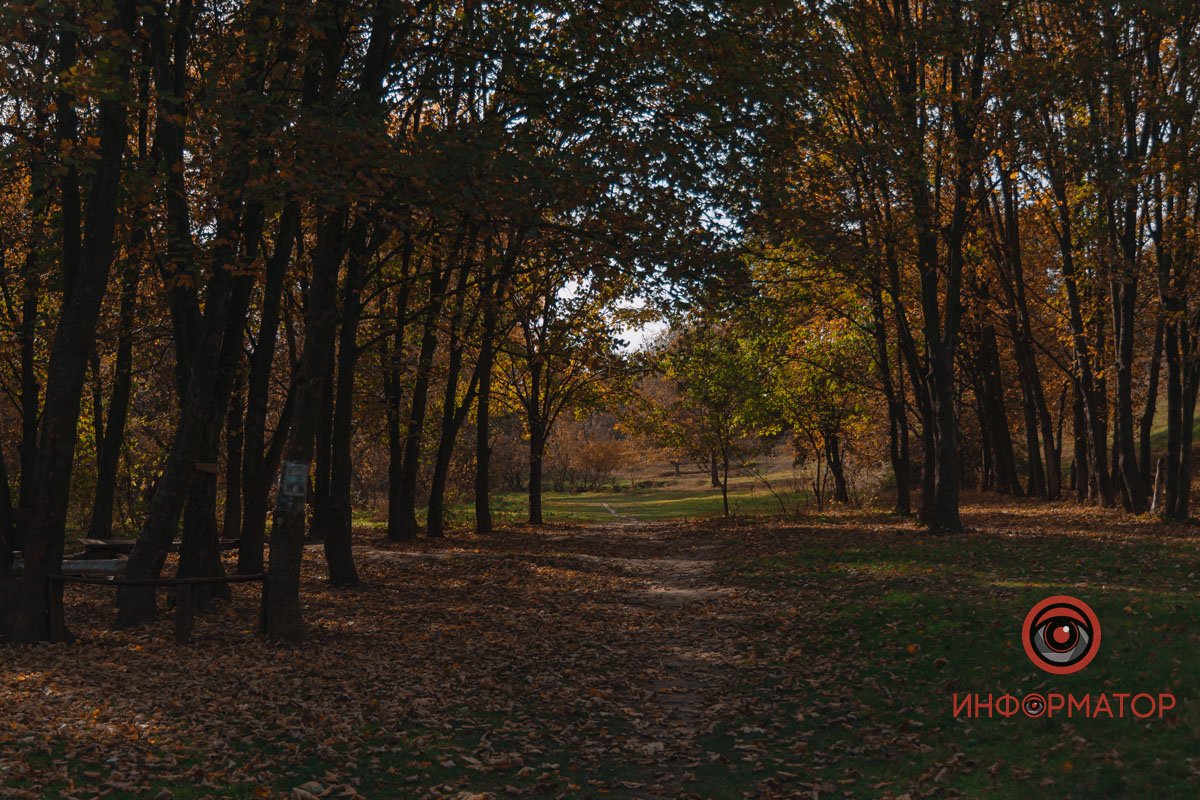Скоро настануть холоди Скоро настануть холоди