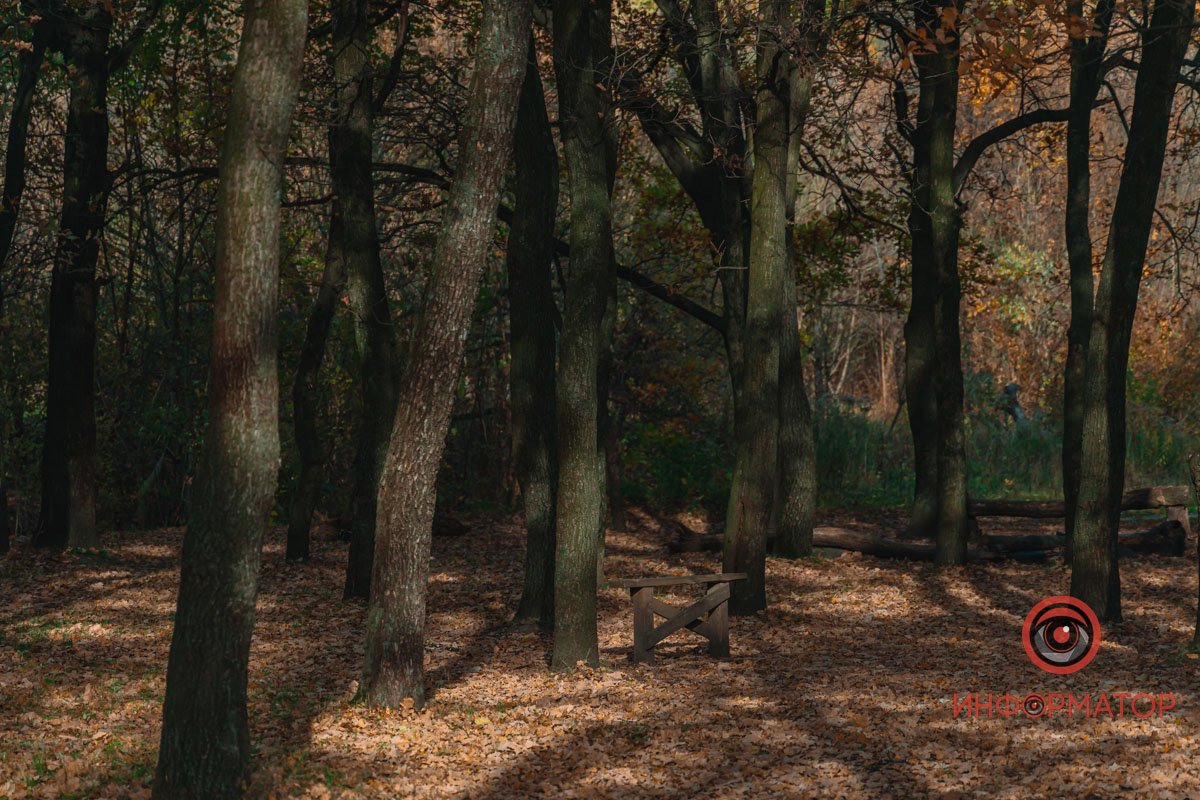 Осінній пейзаж Осінній пейзаж