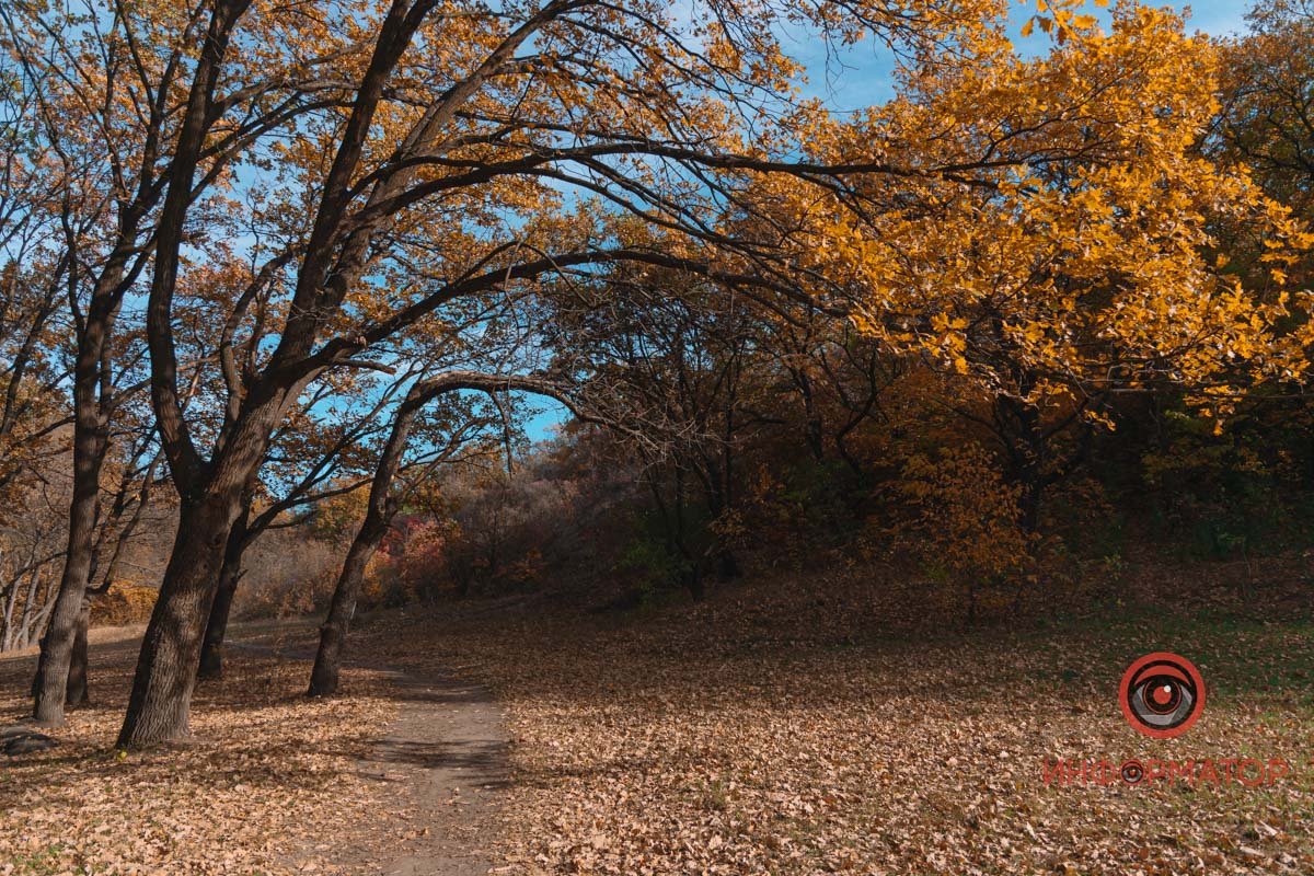 Краса навколо нас Краса навколо нас