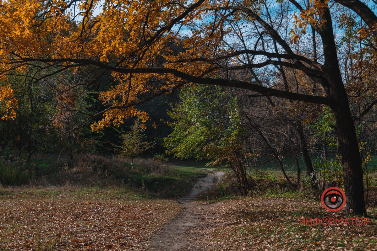Непомітно промайнуло безтурботне спекотне літо Непомітно промайнуло безтурботне спекотне літо