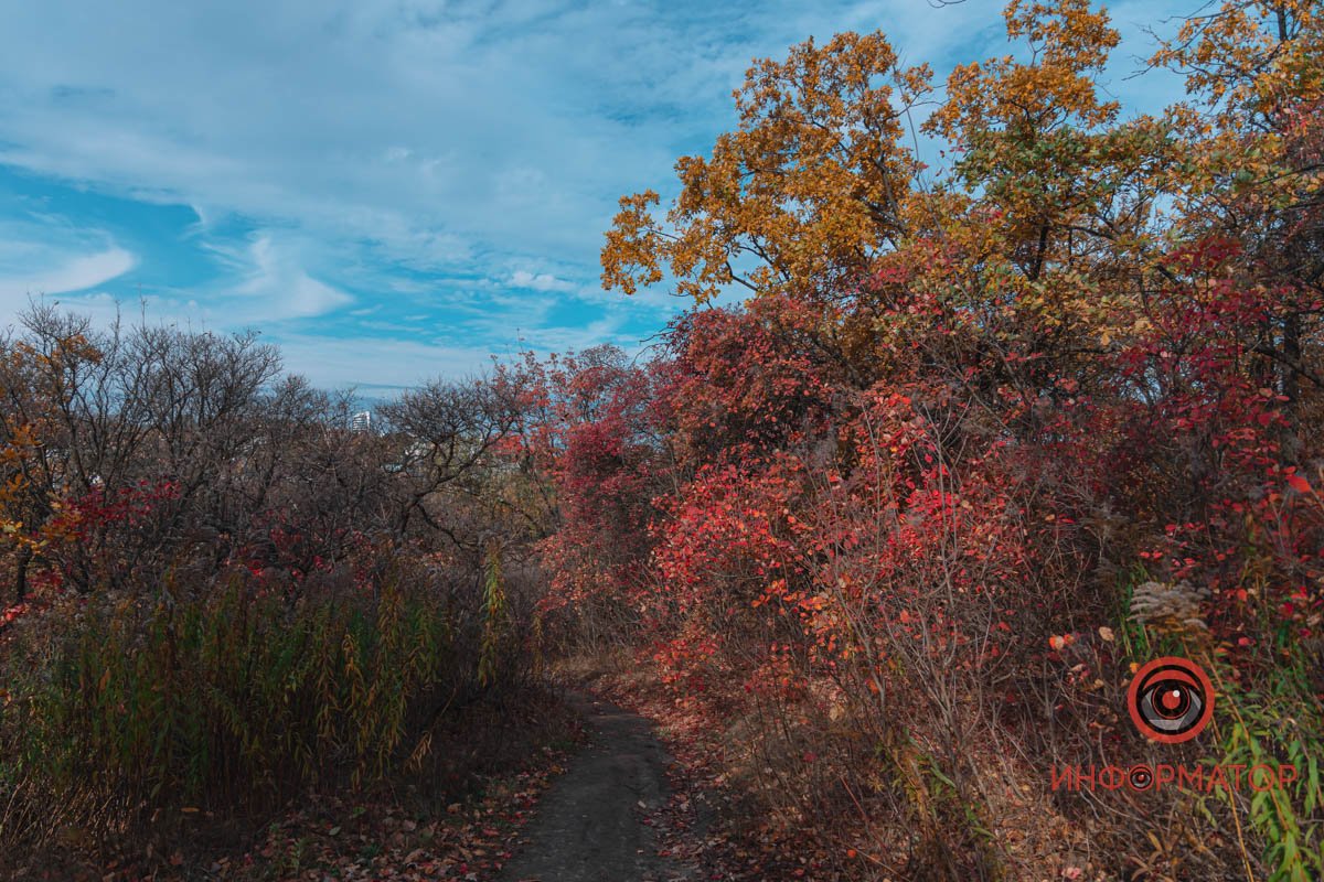Погляньте, яке яскраве небо Погляньте, яке яскраве небо