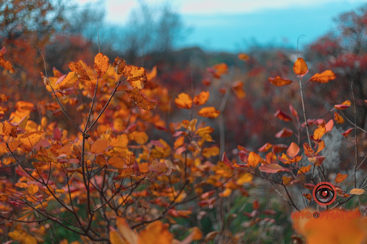 Осінь малює своїми фарбами Осінь малює своїми фарбами