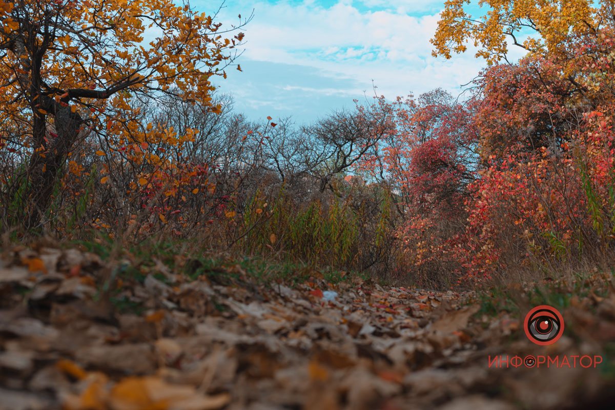 Ковдра з листя Ковдра з листя