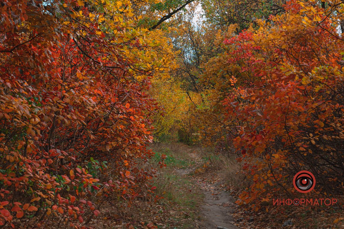 Пейзаж зачаровує подих Пейзаж зачаровує подих