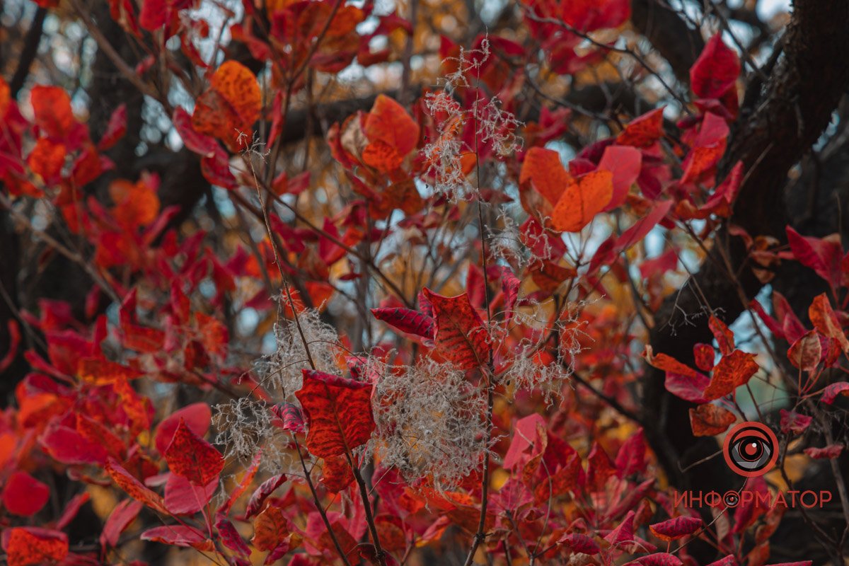 Придивіться до деталей Придивіться до деталей