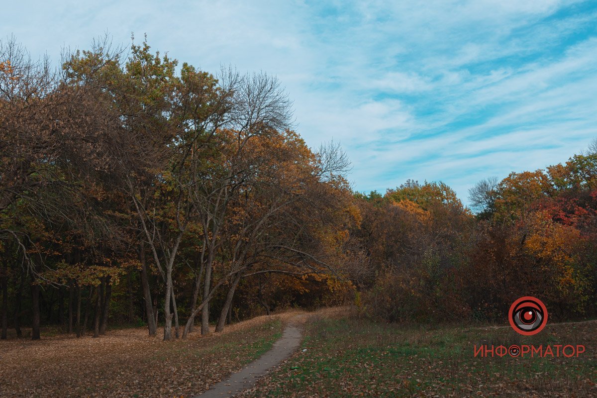 Осіння краса Осіння краса