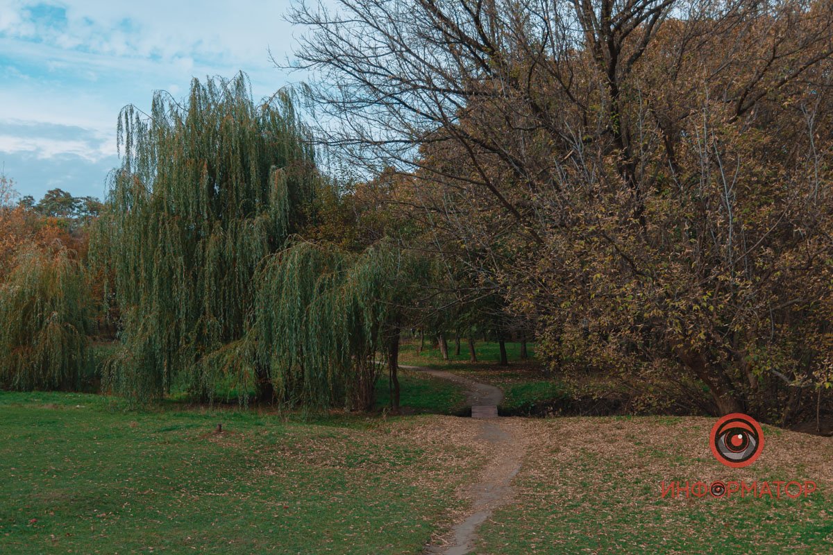Різнокольорові дерева Різнокольорові дерева