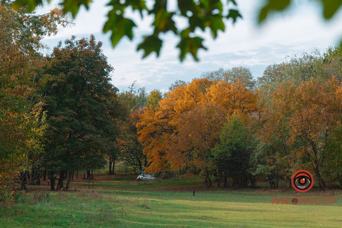 Ви тільки погляньте на цю красу Ви тільки погляньте на цю красу