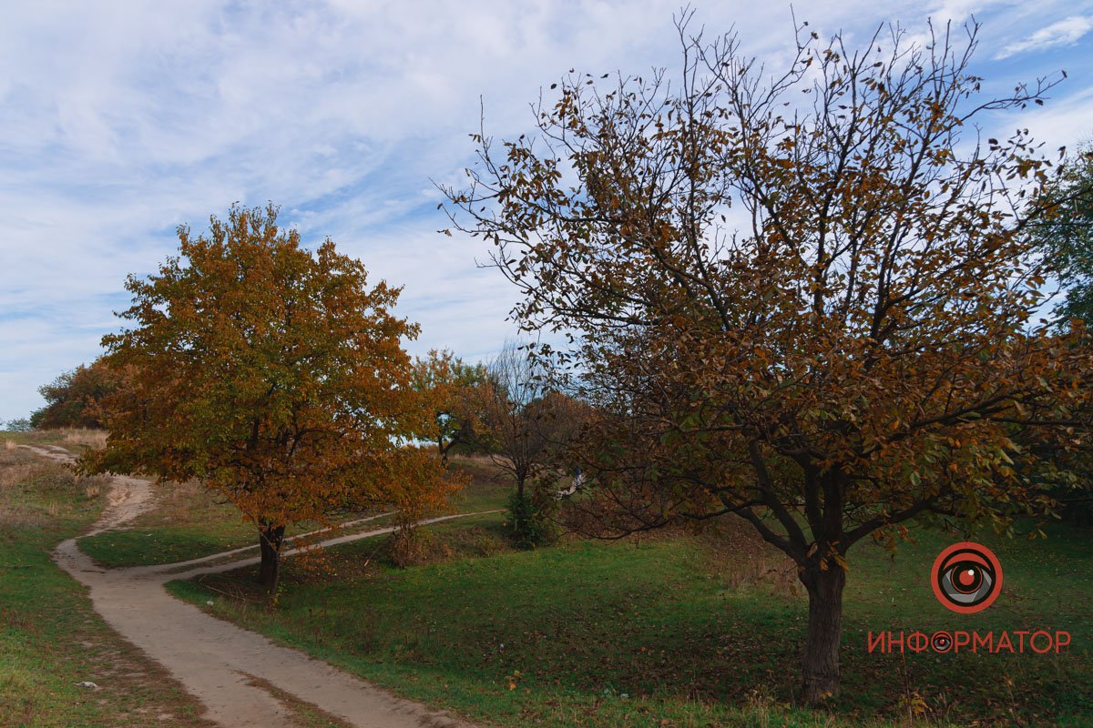 Помічайте красу навколо себе Помічайте красу навколо себе