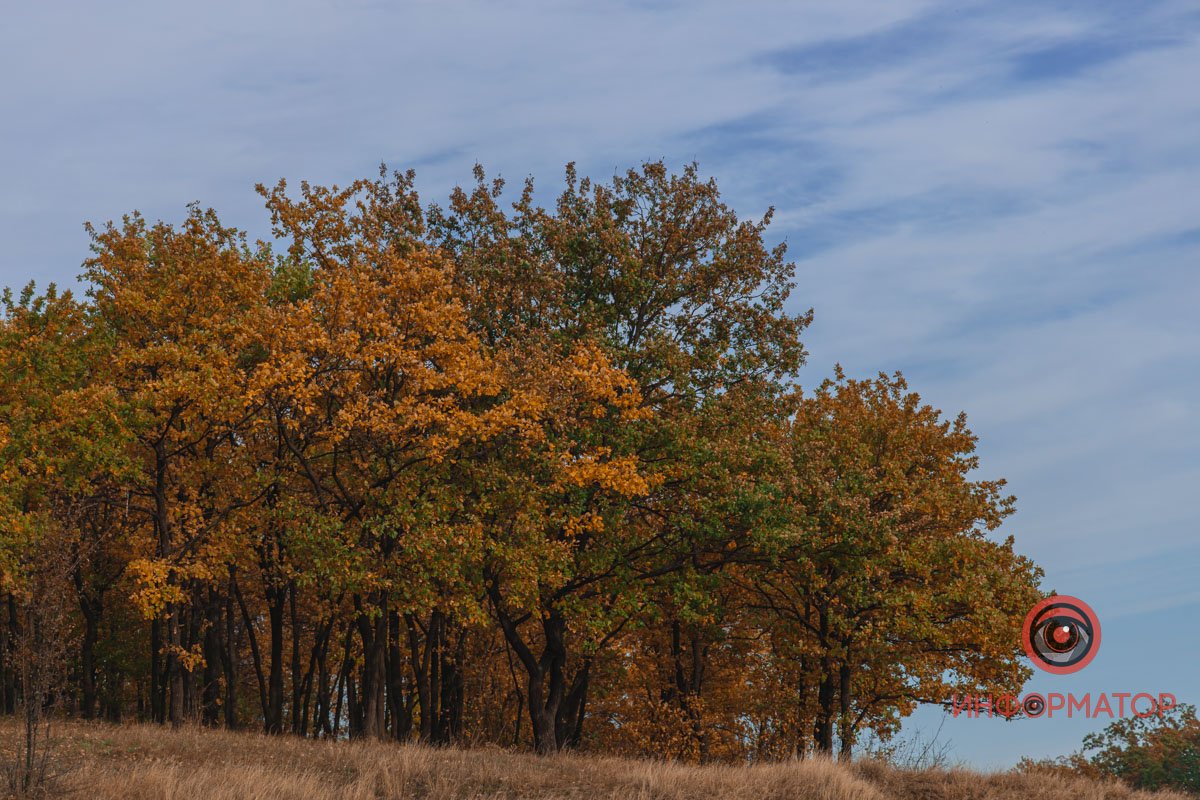 Проведіть вихідні разом з сім'єю Проведіть вихідні разом з сім'єю