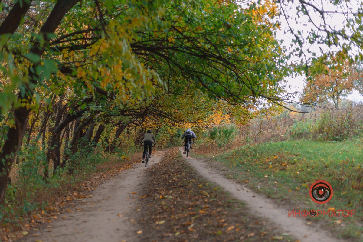 Інформатор прогулявся осінньою Тунельною балкою та покаже, як вона виглядає у цю пору року Інформатор прогулявся осінньою Тунельною балкою та покаже, як вона виглядає у цю пору року
