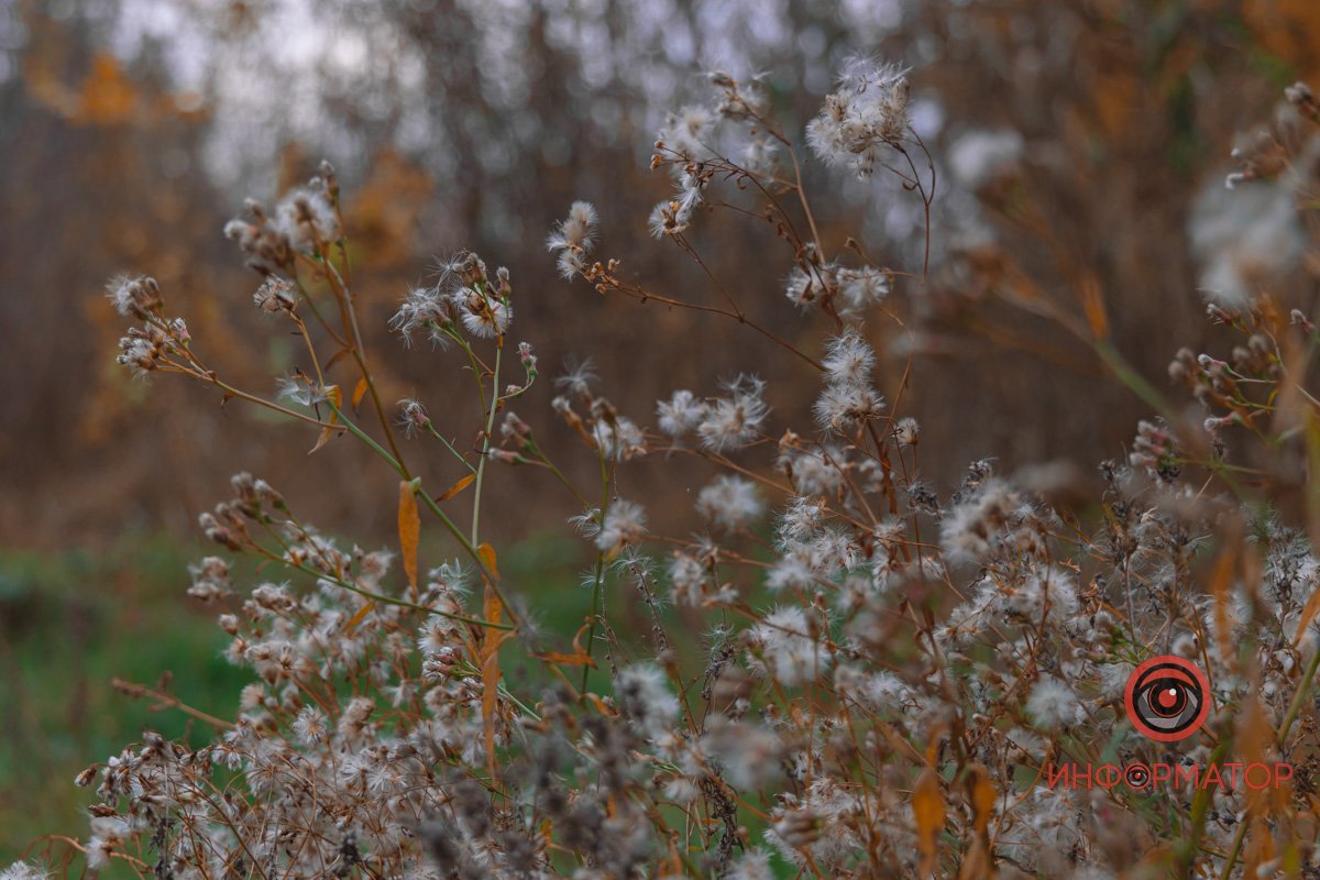 Дороги встелили ковдри з різнокольорових листочків Дороги встелили ковдри з різнокольорових листочків