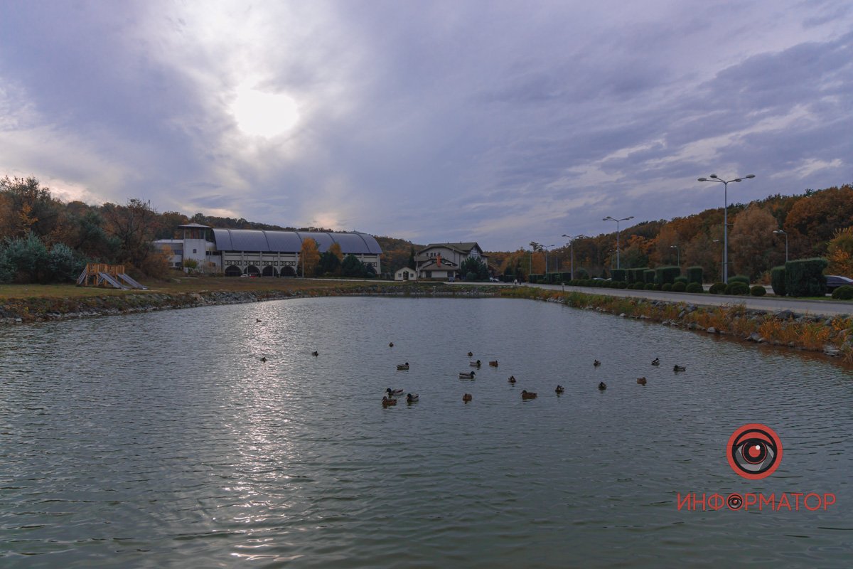 Дерева перевдягнулись у різнобарвне вбрання Дерева перевдягнулись у різнобарвне вбрання