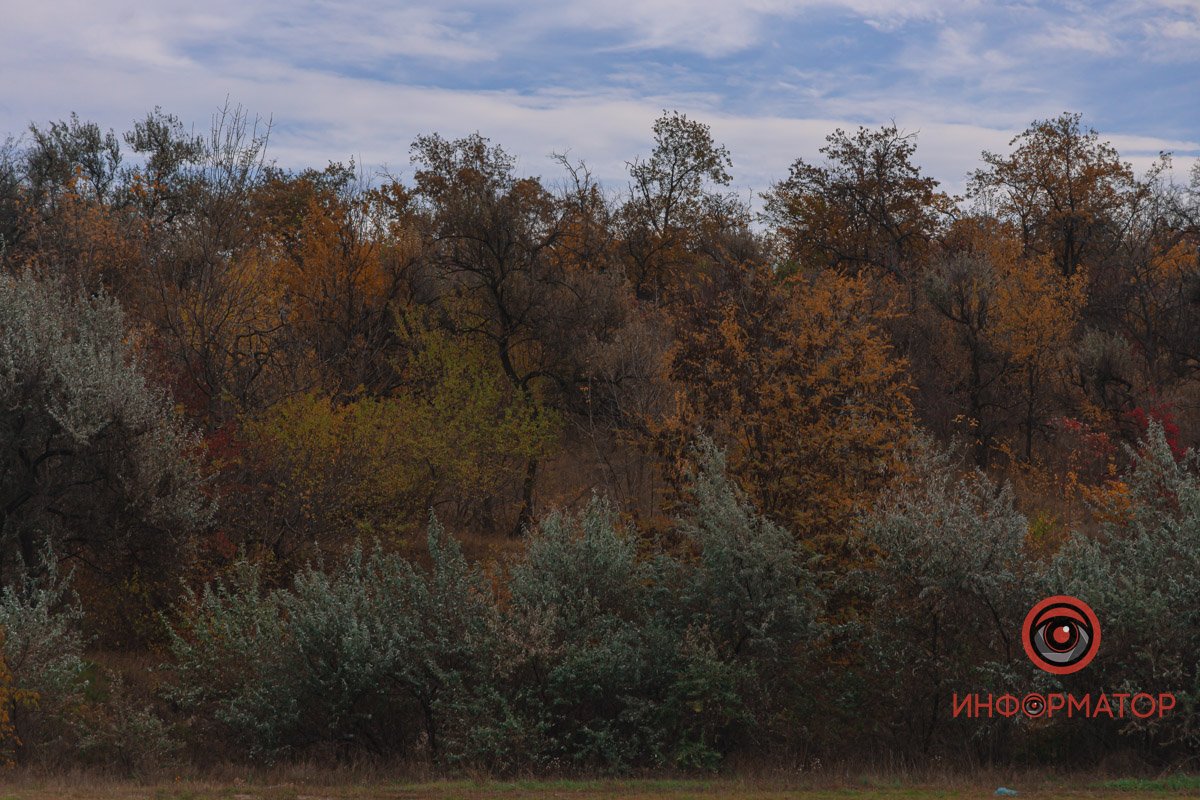 У Дніпрі настала справжня осінь У Дніпрі настала справжня осінь