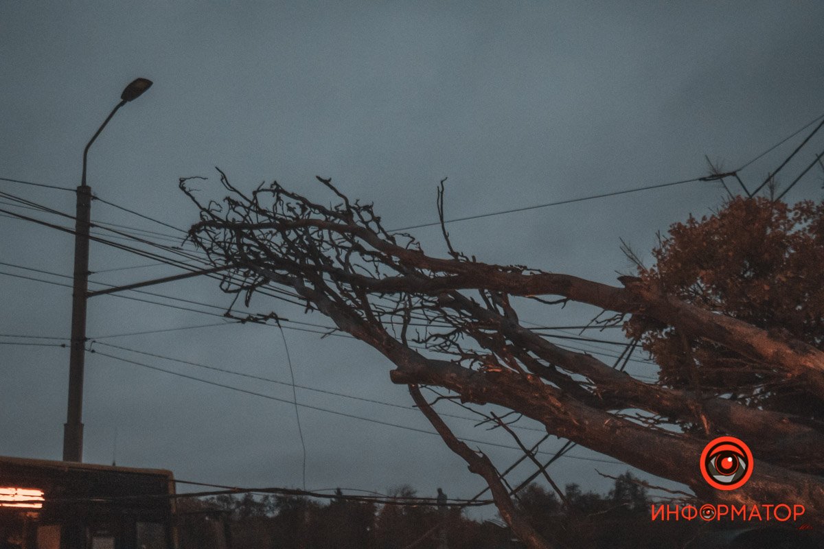Повисло на дротах Повисло на дротах