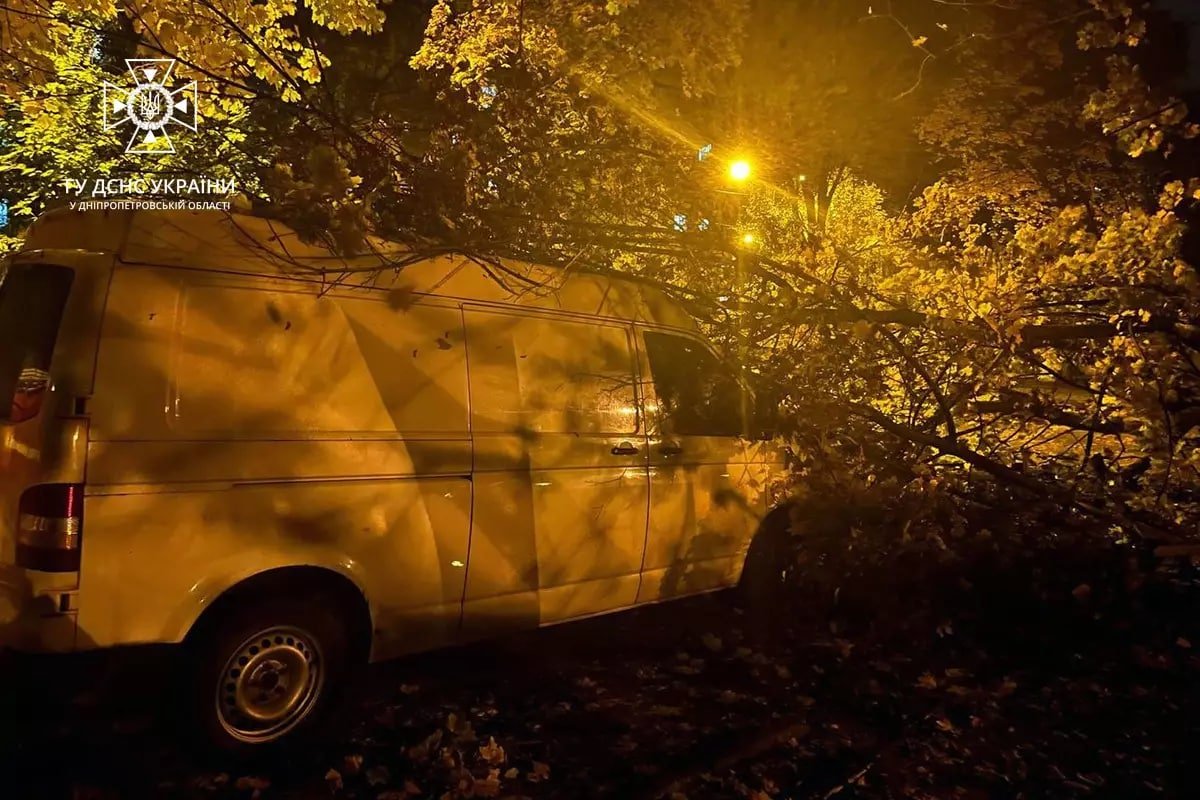 Дерево прибрали Дерево прибрали