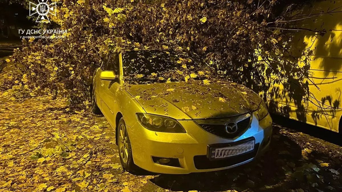 В Днепре на Терещенковском дерево упало на Mazda и Volkswagen