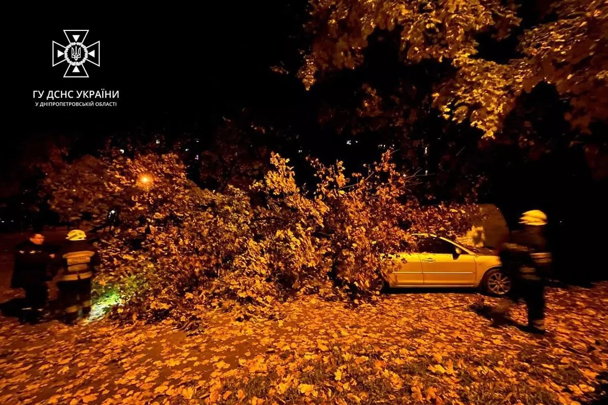 Дерево впало на два авто Дерево впало на два авто