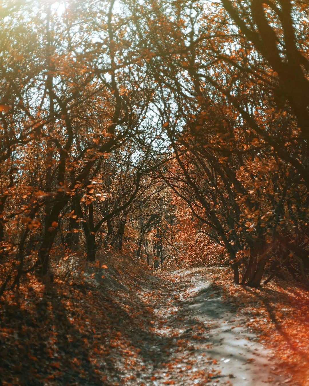 @deniska_ua @deniska_ua