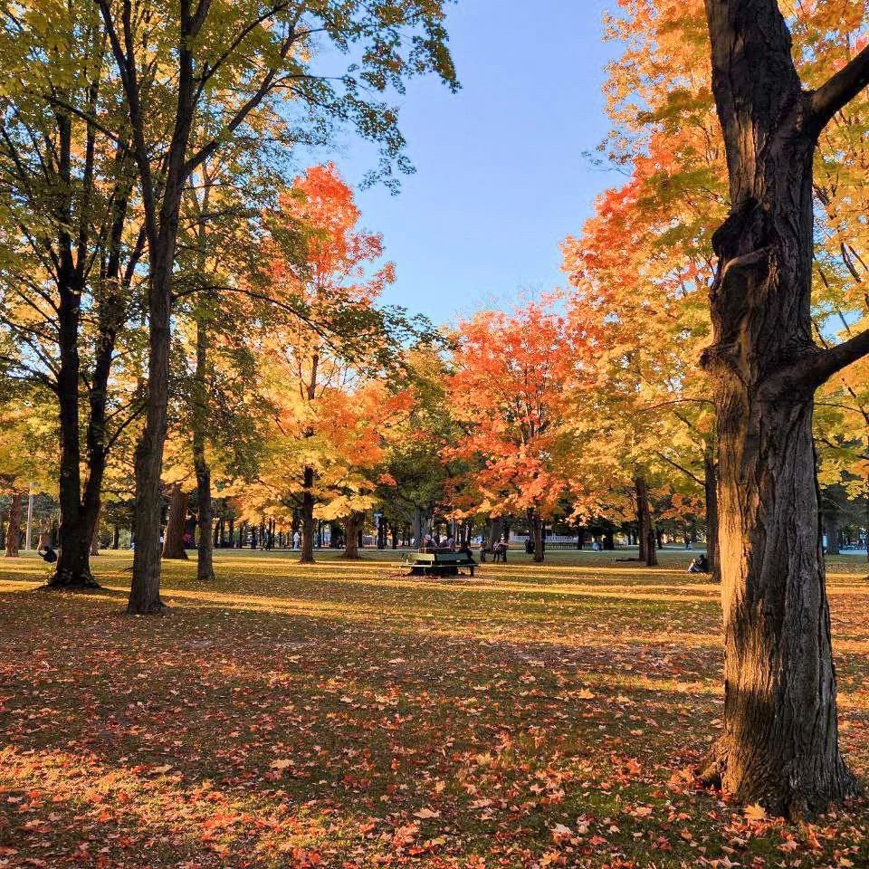 @evgeniya_jerelia @evgeniya_jerelia