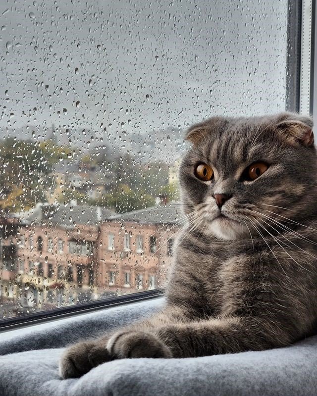 @stanislavvv @stanislavvv