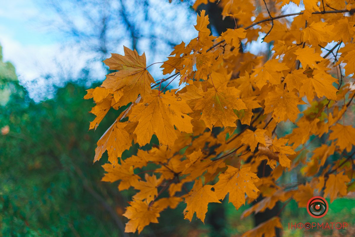 Листячко Листячко