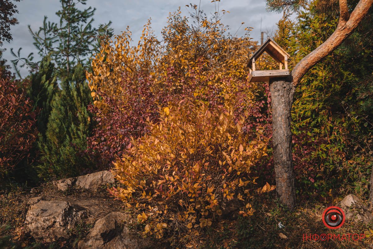 Корміть тварин Корміть тварин