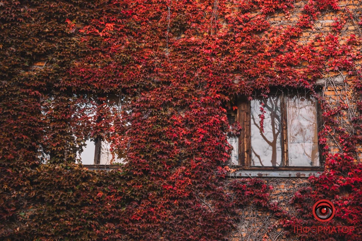 Чудовий вид Чудовий вид