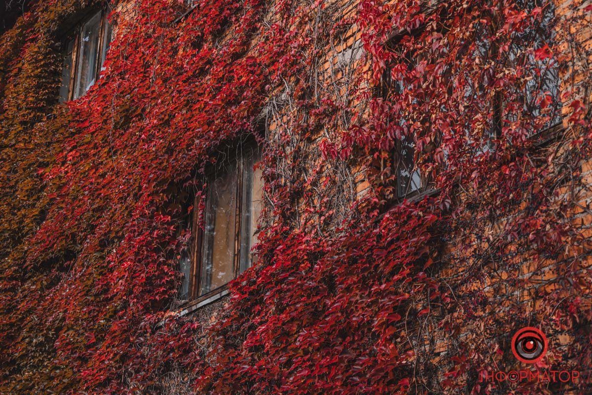 Заростало багато років Заростало багато років