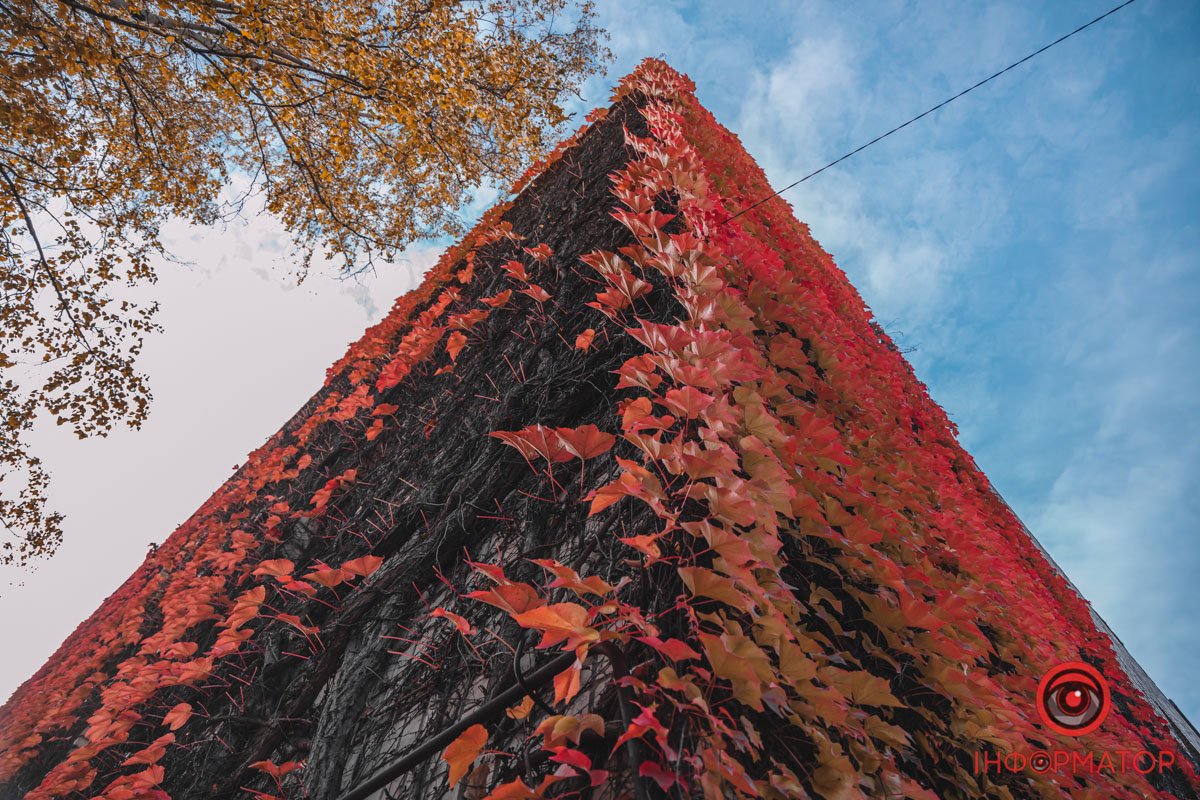 НІс корабля НІс корабля