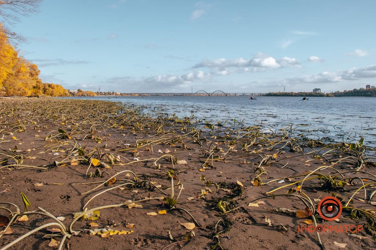 Чекаємо на офіційну інформацію Чекаємо на офіційну інформацію