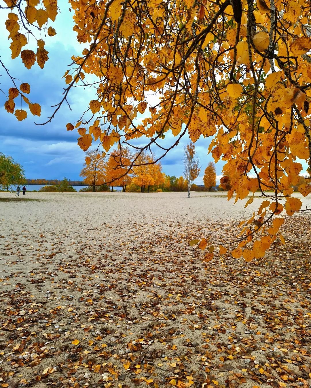 @world_thru_camera @world_thru_camera