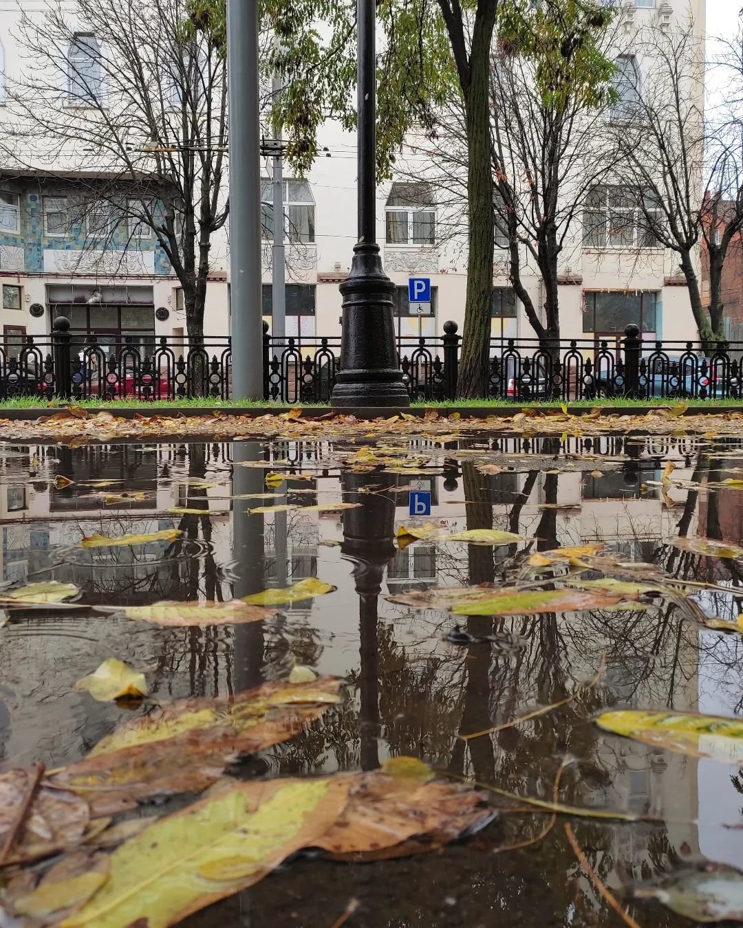 @lena.leoni2021 @lena.leoni2021