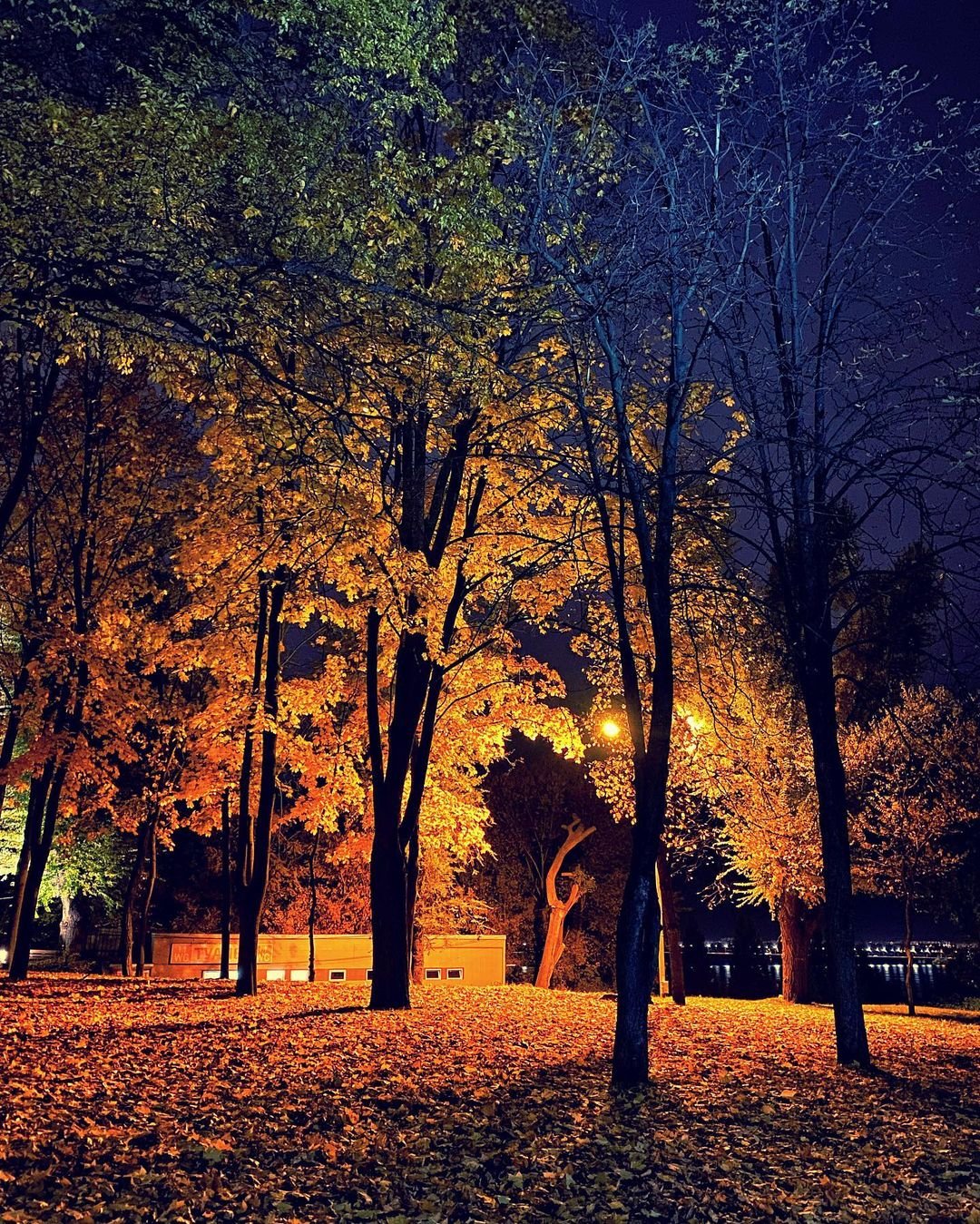 @marinakovp @marinakovp