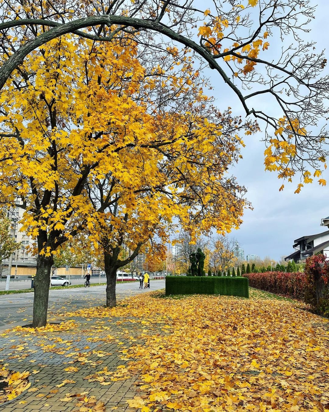 @angelina.vlkv @angelina.vlkv