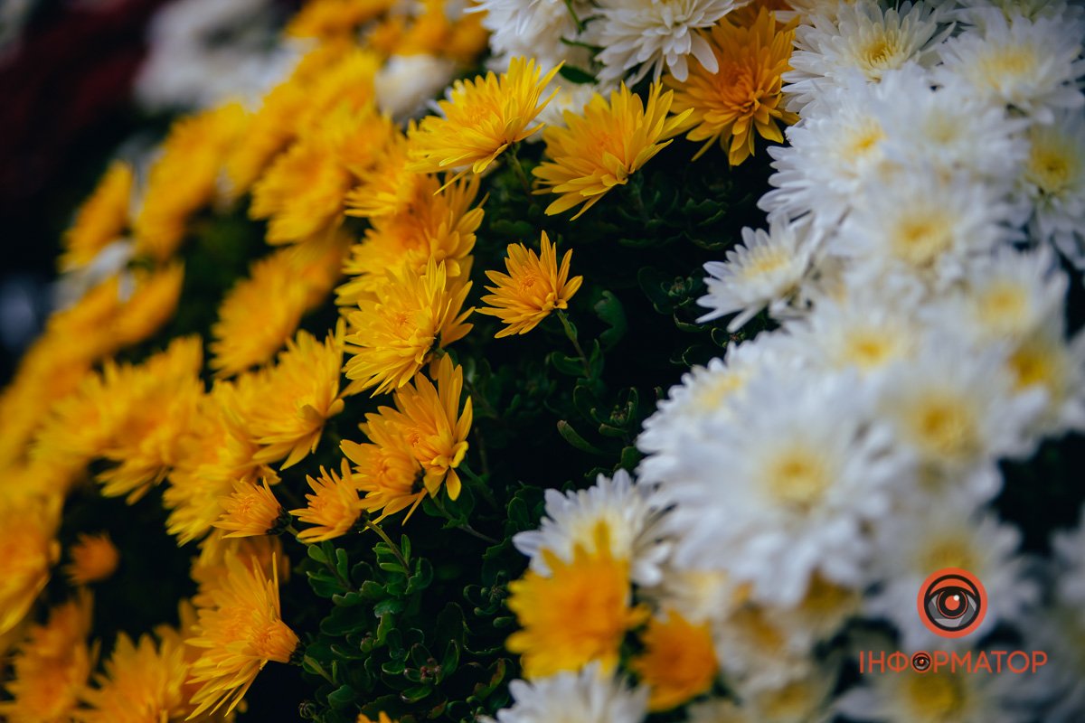 До наступного року!