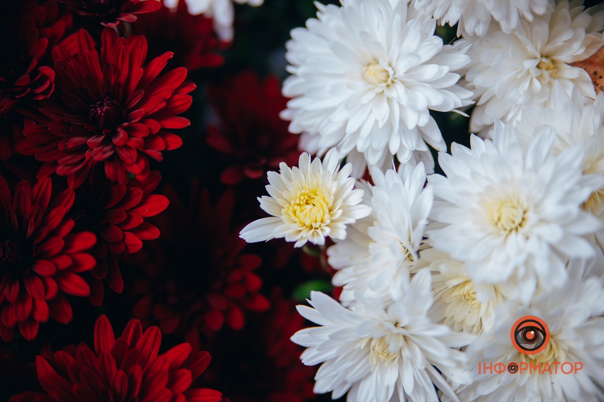 Який контраст