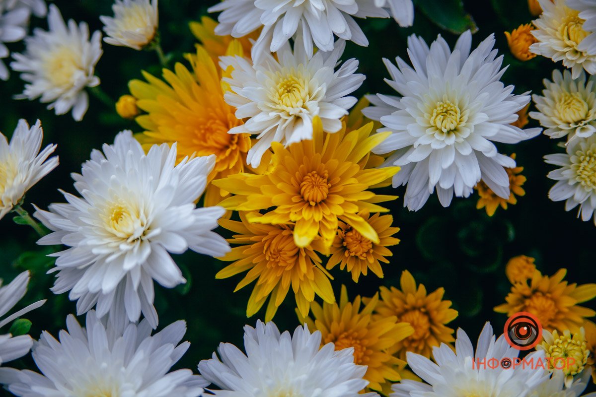 Симетрично