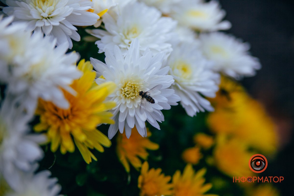 Треба боротися з меланхолією