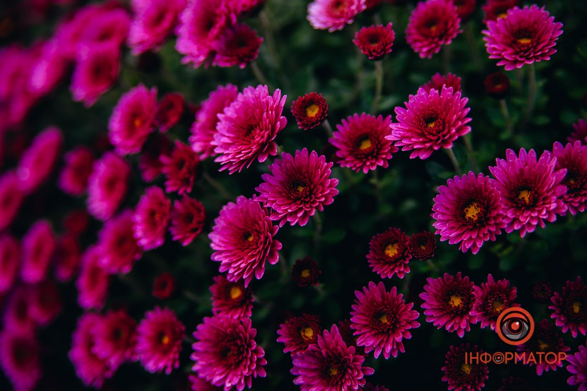 Все циклічно