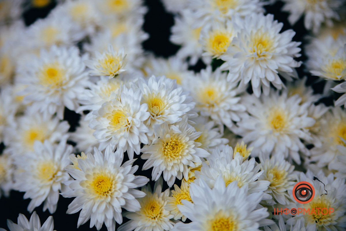 Різнокольорові