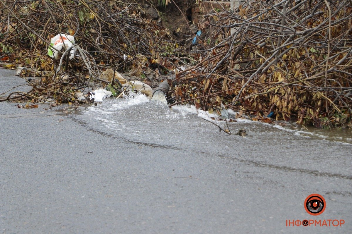 Фото: Дмитро Федоров Фото: Дмитро Федоров