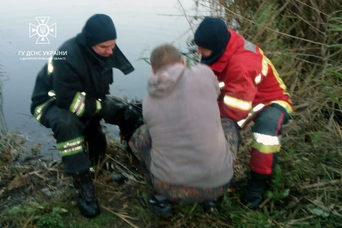 В 5 метрах від берега