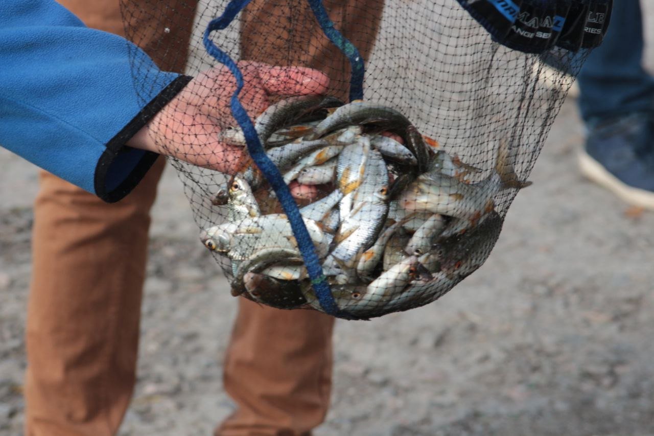 Рибалки майже з усієї України Рибалки майже з усієї України