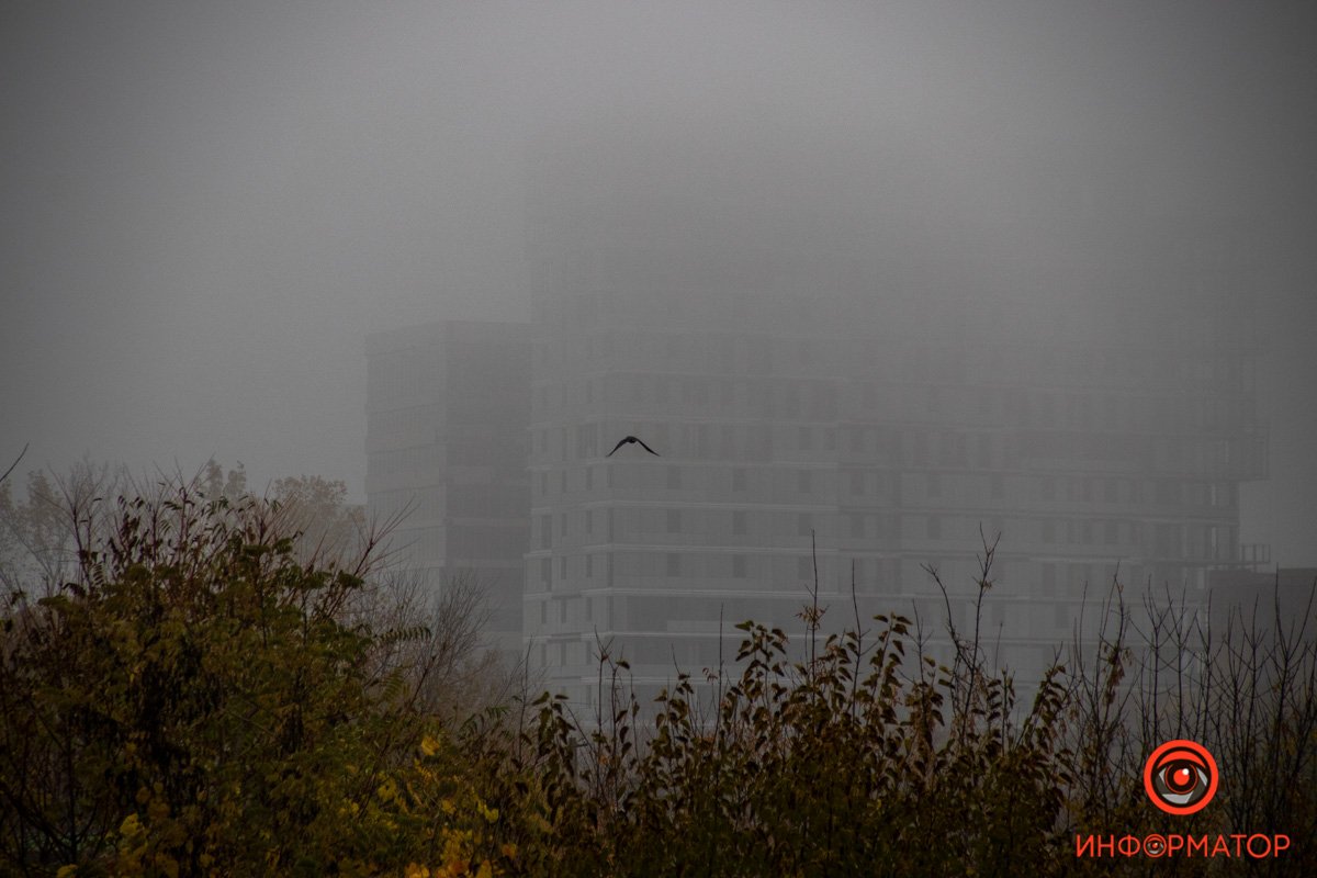 Летить у своїх справах