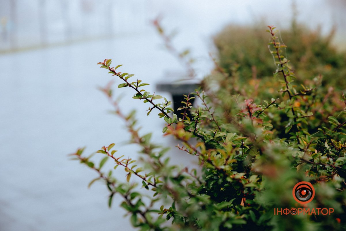 Рідкість вже Рідкість вже