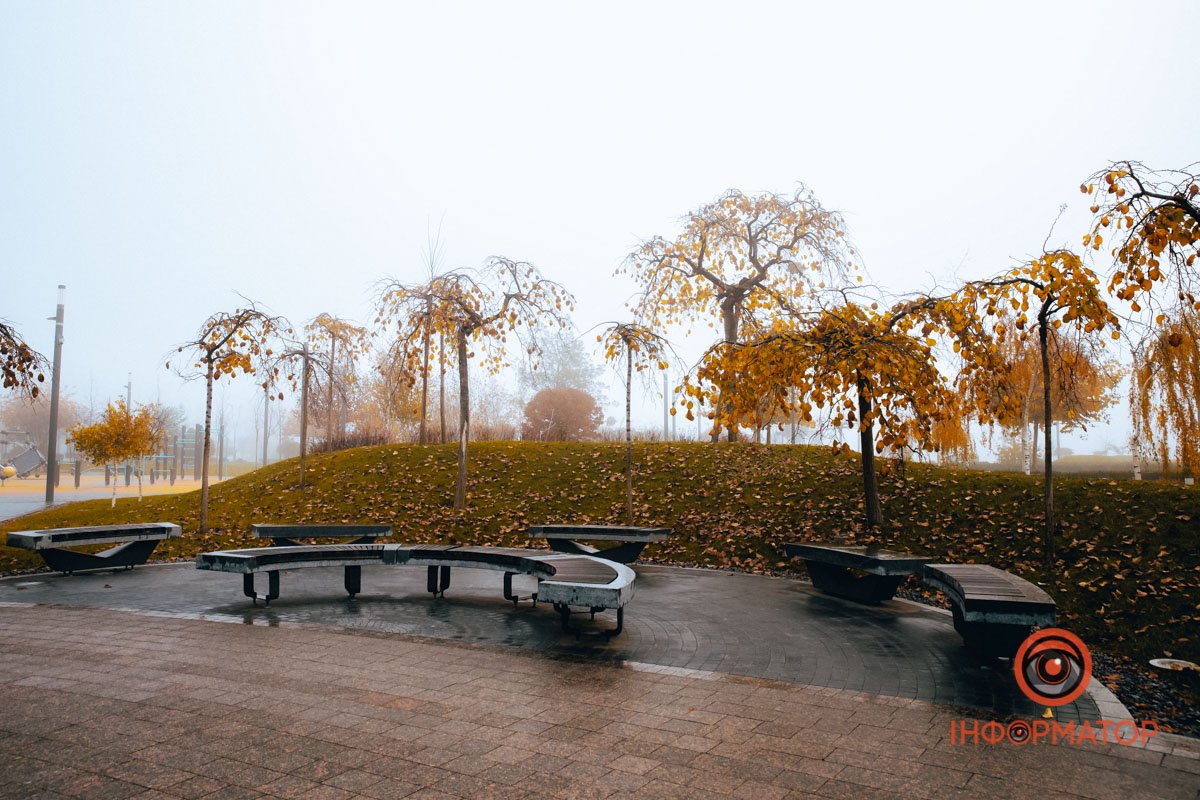 Лінії і форми Лінії і форми