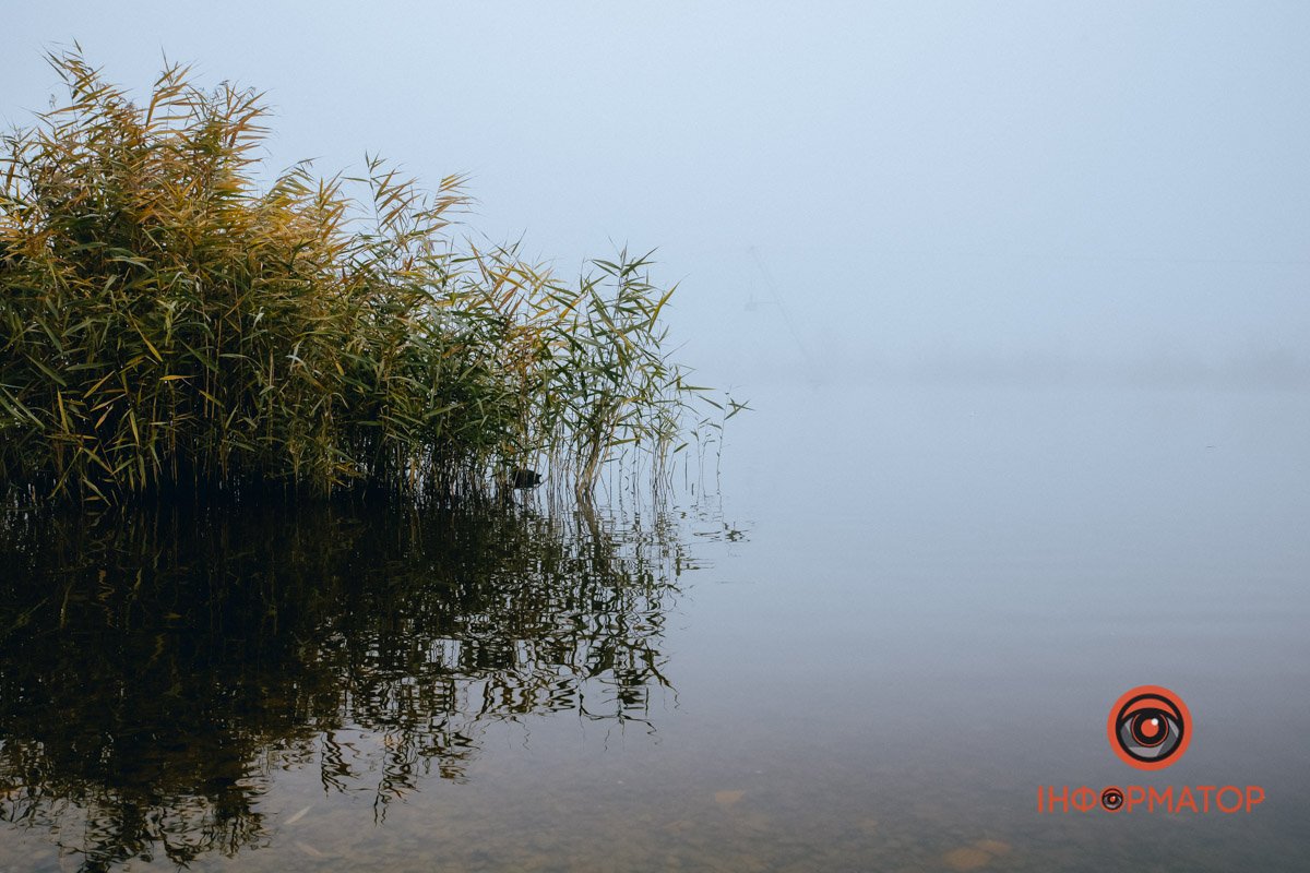 Скоро зима Скоро зима