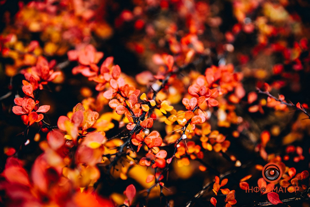 Останнє тепло Останнє тепло